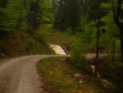 2013-06-01_Regina-F-Rau_Staffelalm_Hochwasser (156).JPG